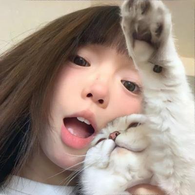 金石情